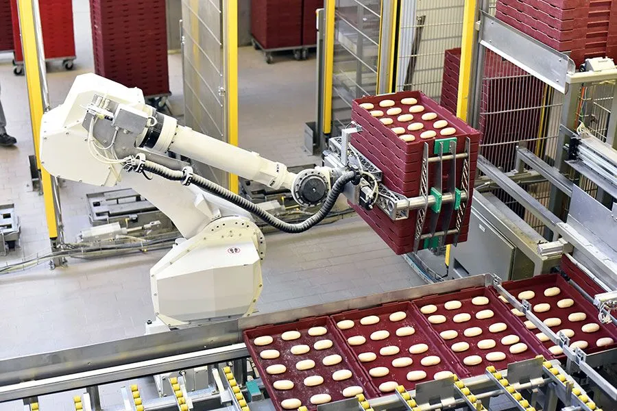 Packaging palletizer